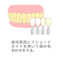 .services_sec09_pic04